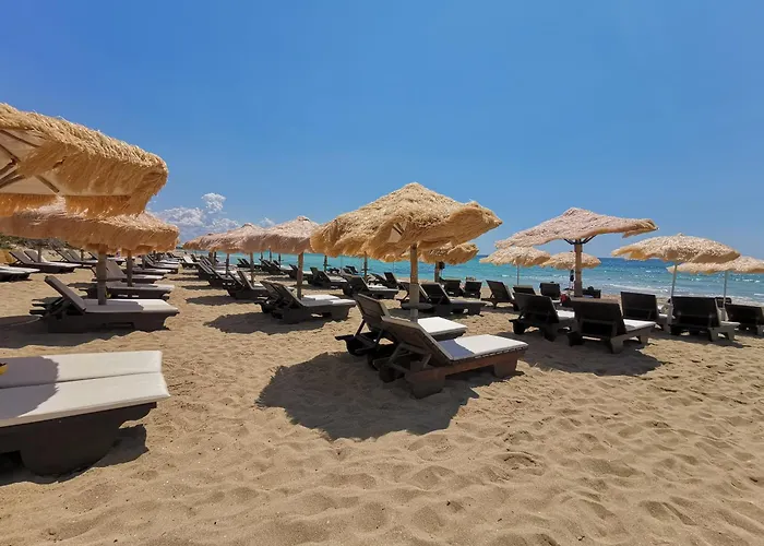Samana B&B Con Spiaggia Privata A Punta Prosciutto